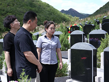 向客户介绍墓型