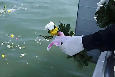 海撒案例