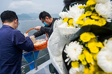 海撒案例