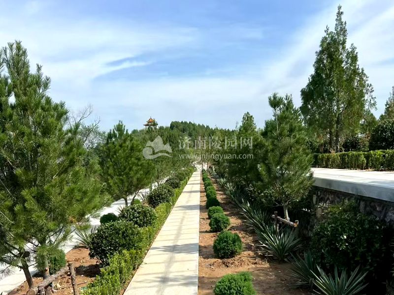 济南多子山公墓树葬