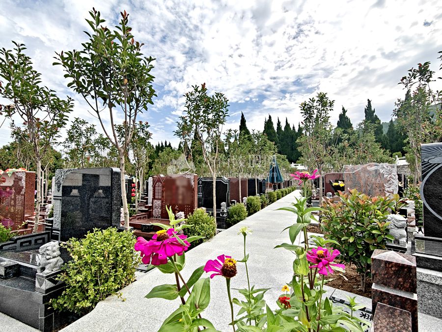 济南双峰山陵园新墓区环境 济南双峰山陵园新墓区环境