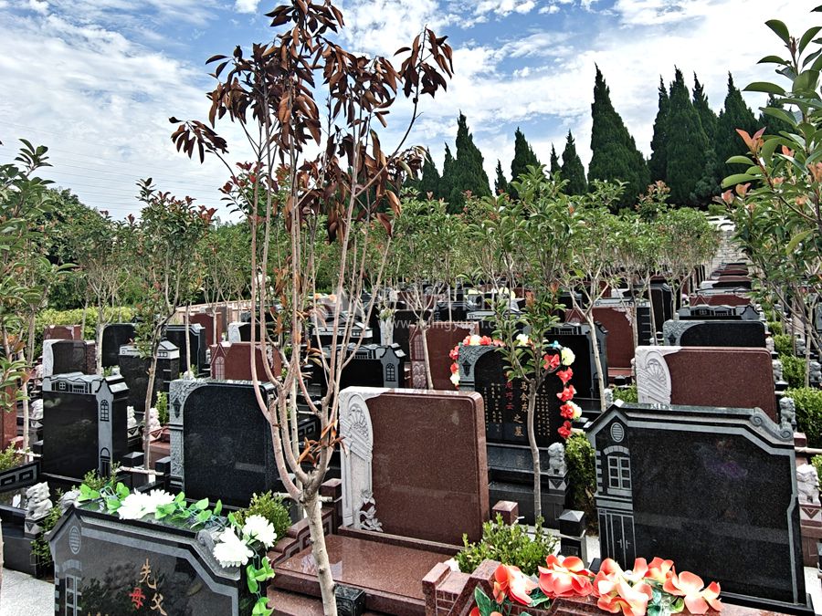 济南双峰山陵园新墓区环境 济南双峰山陵园新墓区环境